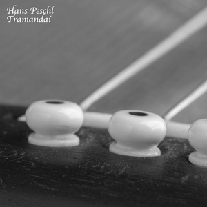 桃子视频网站免费观看网
